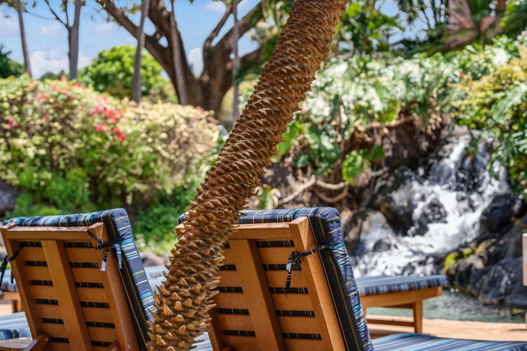Kahana Falls Resort Napili-Honokowai Eksteriør bilde